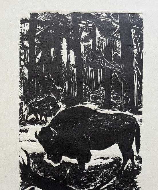 Графіка "Зубри".1981рік. Художник Клєпіков Микола