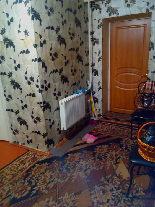 Продам будинок в смт Новомиколаївка (з/станція Верхньодніпровськ)