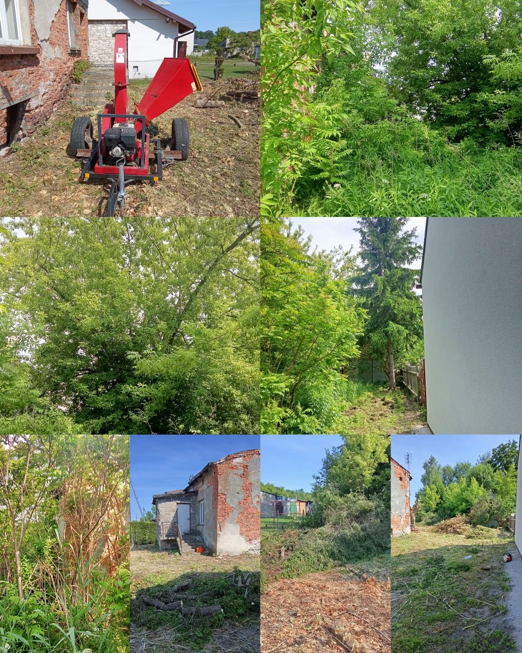 Wycinki drzew usługi rebakiem, wynajem