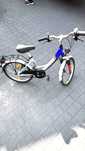 Rower pegasus 20