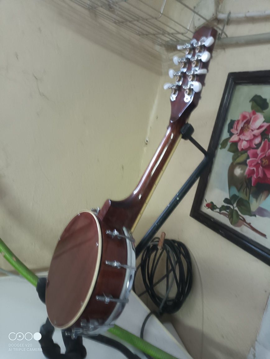 Banjos Bandolins