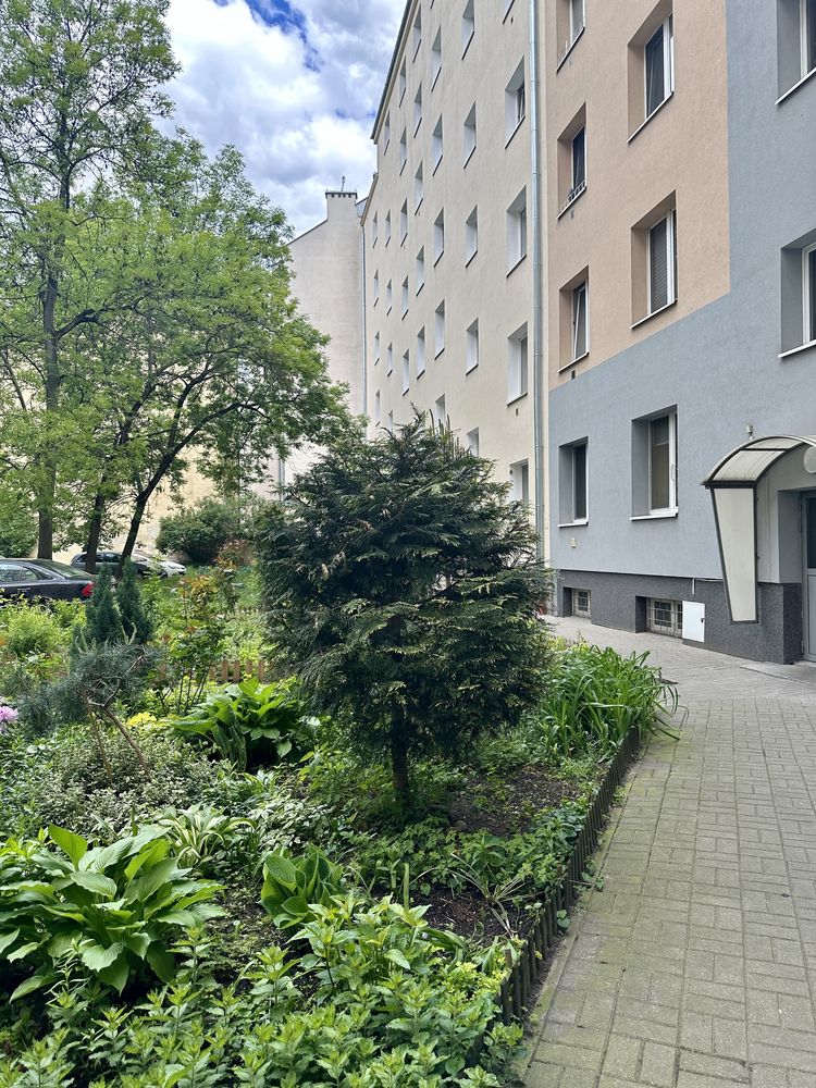 OCHOTA blisko PL. Narutowicza cegła , ciche, wysokie 39 m2 , jasne 5p