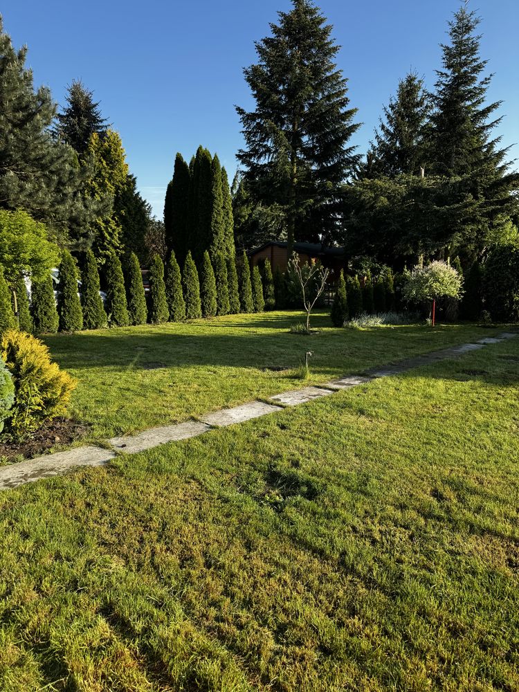 Działka ROD z murowanym domkiem Jaryszki pod Poznaniem