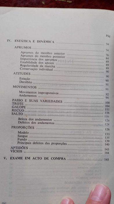 O Exterior do Cavalo - J. Miranda do Vale