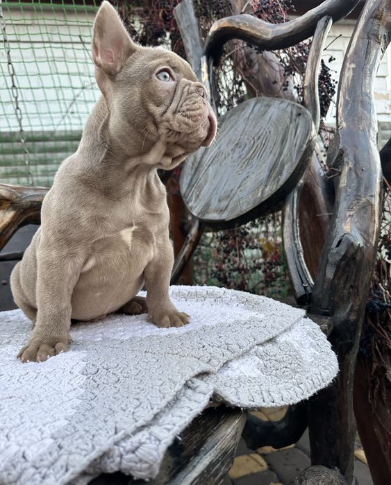 Міні коротенький хлопчик