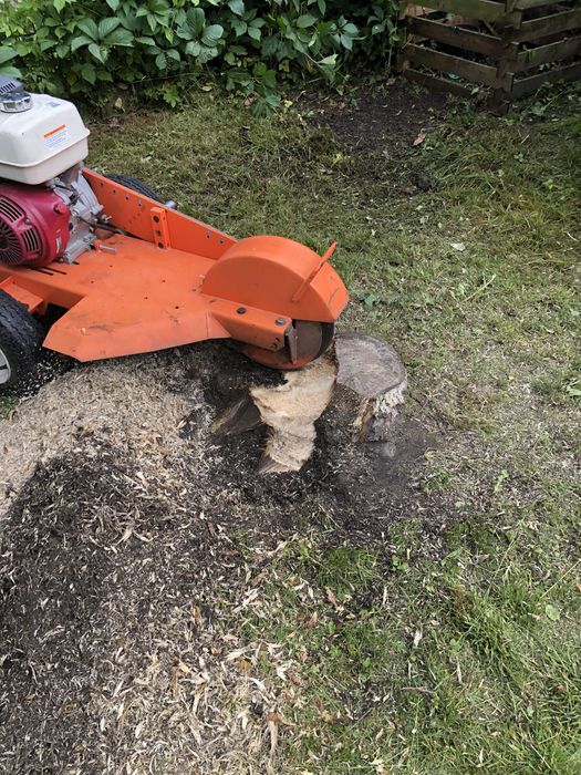 Frezowanie/ usuwanie pni, koszenie, wycinka drzew