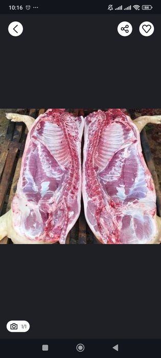 продам туші,пів туші свинини