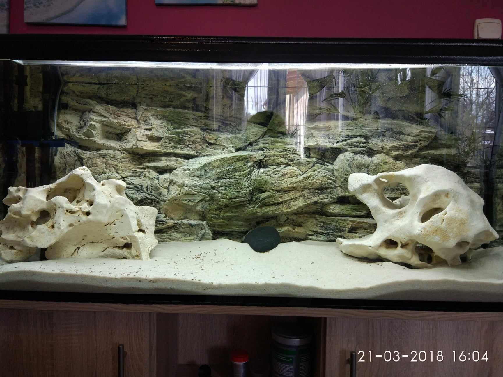 Akwarium240l, filtry, tlo, i inne dodatki