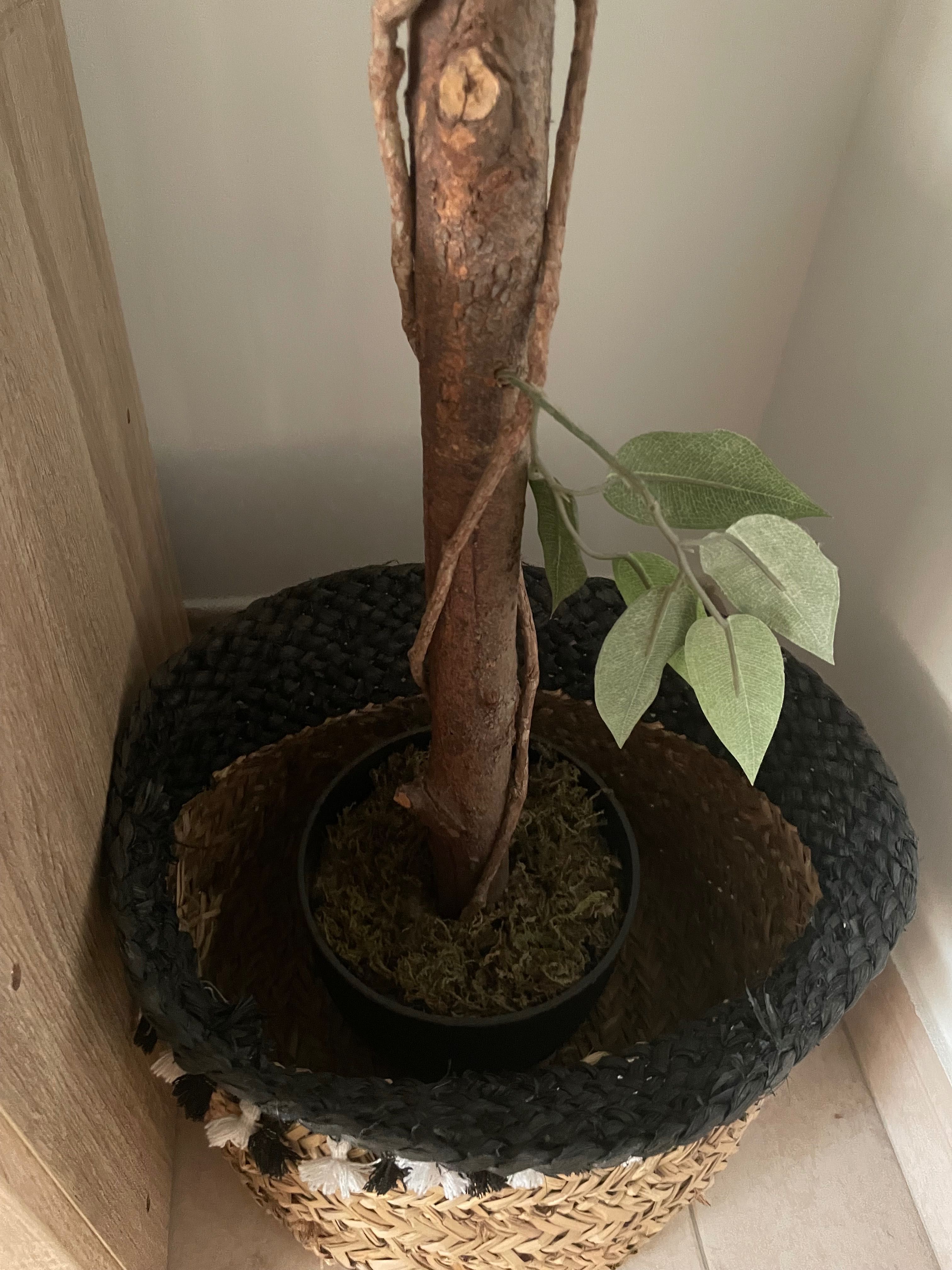 Vendo planta artificial