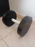 Halter de musculação 24kg