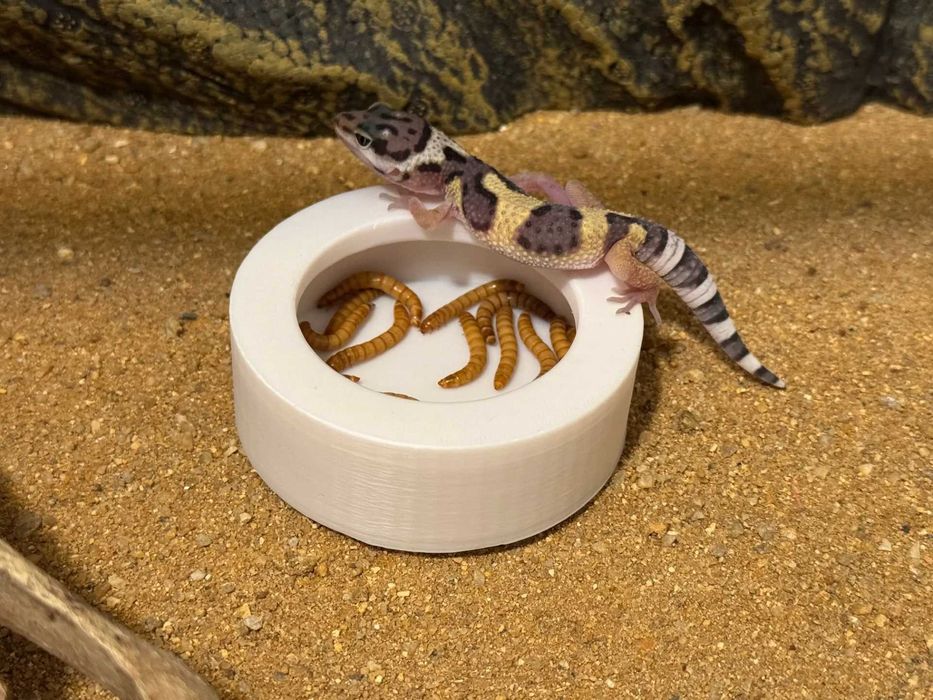 Karmnik w Terrarium Druk 3D PLA Jaszczurki Gady Pająki Ślimaki