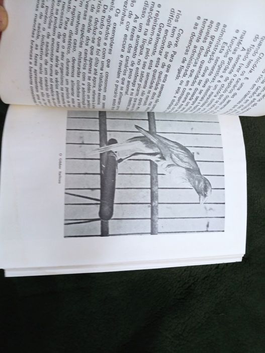 A moderna criação de canários: manual prático	Marina Roberti 1975 Raro
