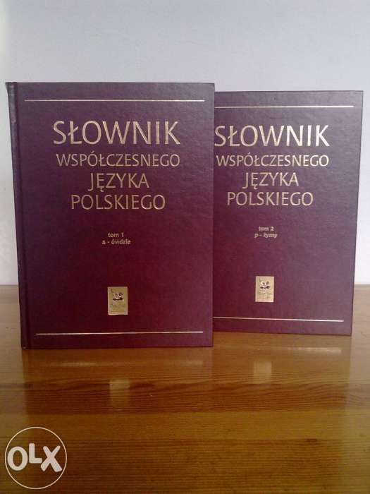 Słownik współczesnego języka polskiego Wa-wa 2001, 1396 stron