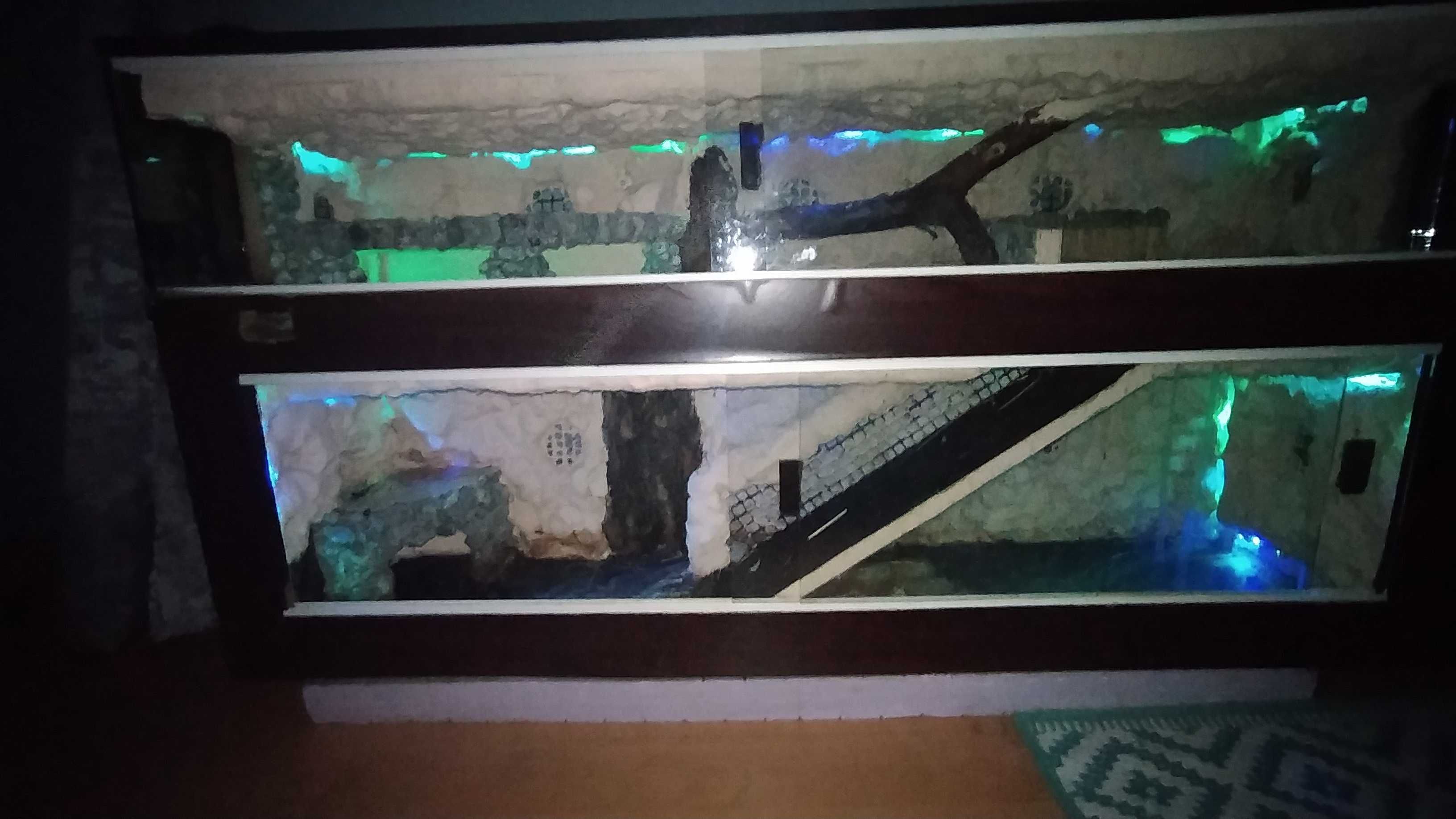 Terrarium dwupoziomowe-Nowa Cena