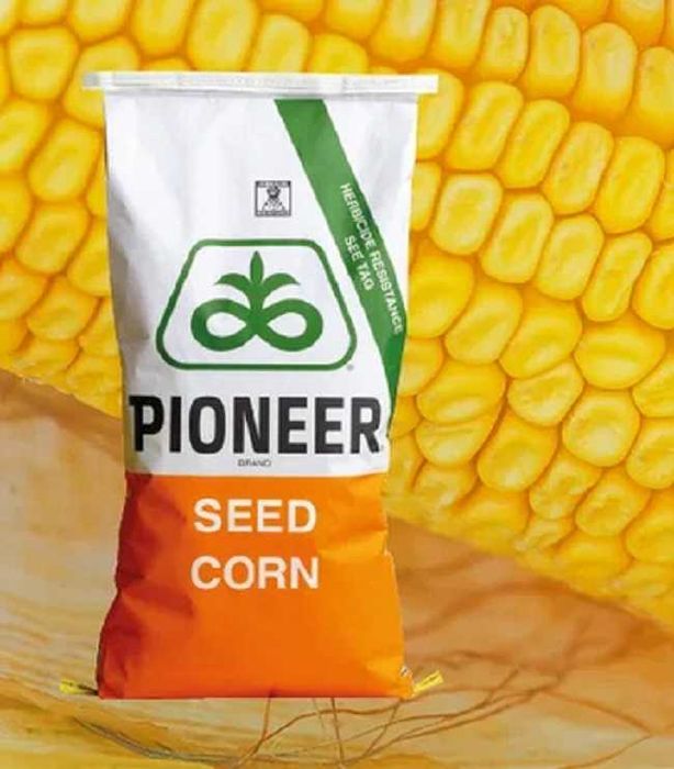 P8834 kukurydza pioneer premium