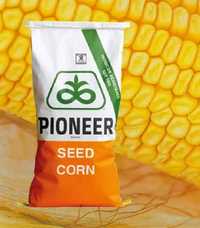 P8834 kukurydza pioneer premium
