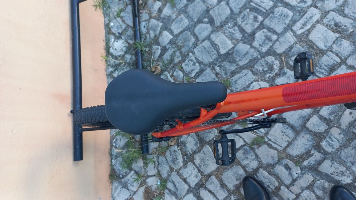 Bicicleta Coluer roda 24