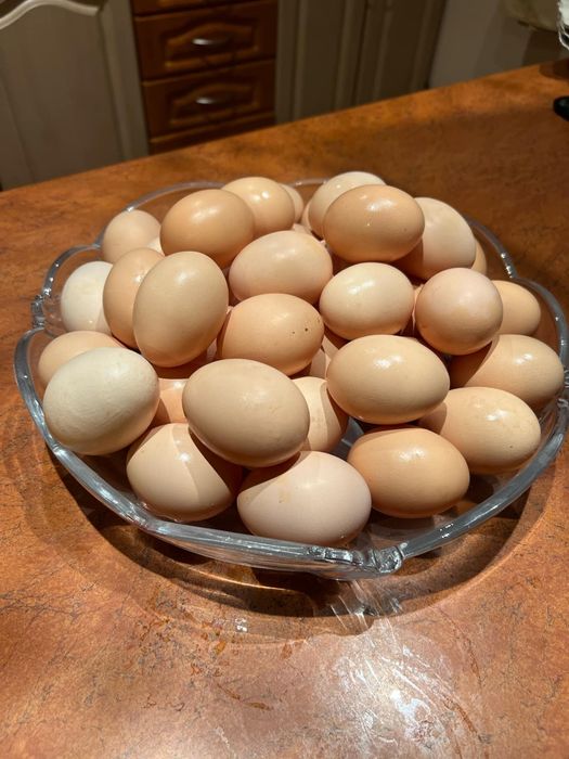 Jajka jaja wiejskie od swoich kur wolny wybieg