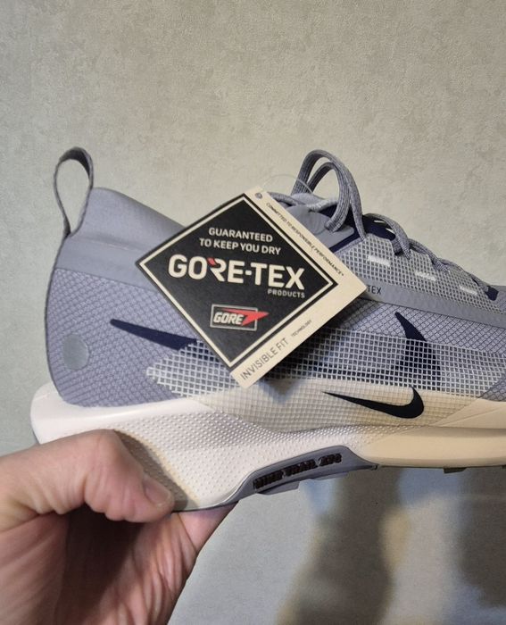 Nike Pegasus Trail 5 GTX