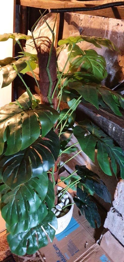 Monstera dziurawa kwiat sztuczny w ozdobnej doniczce plus magnolie
