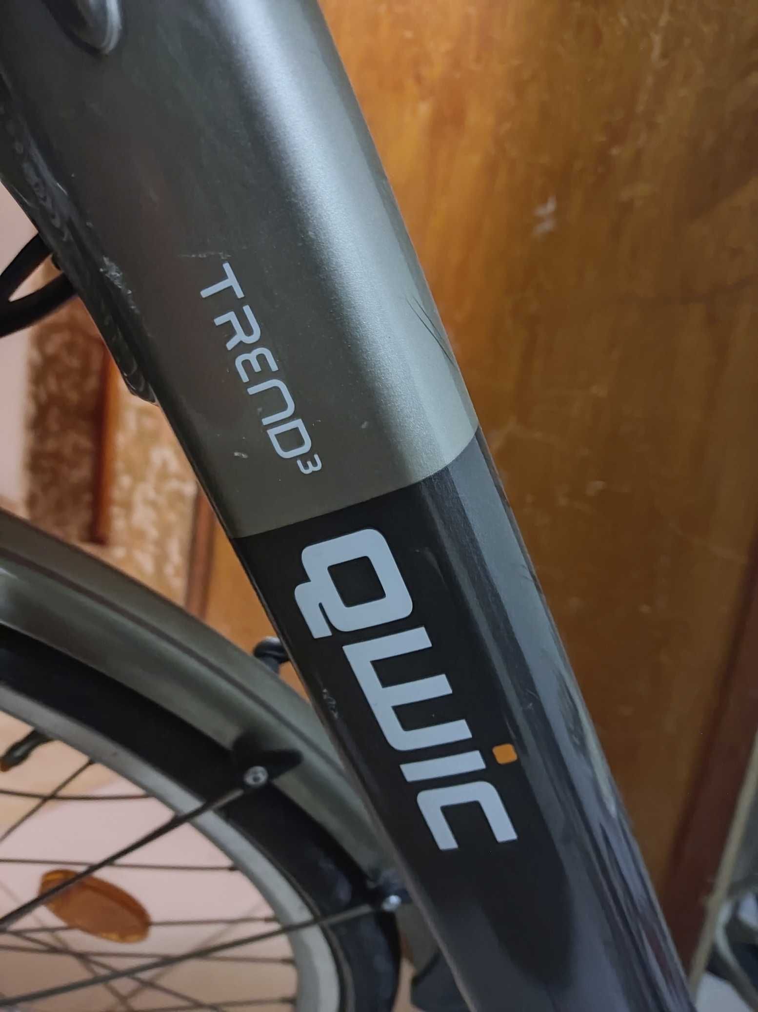 Bicicleta Elétrica Holandesa QWIC Trend 3