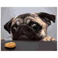 Картина по номерам тварини собака мопс печенька печиво