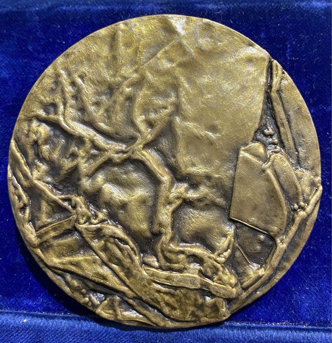 Medalha 76 bronze