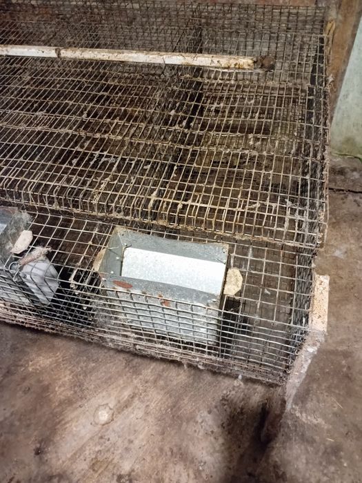 Продам клітки для кролів