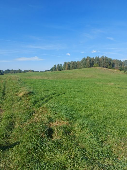 Działka rolna Porbady