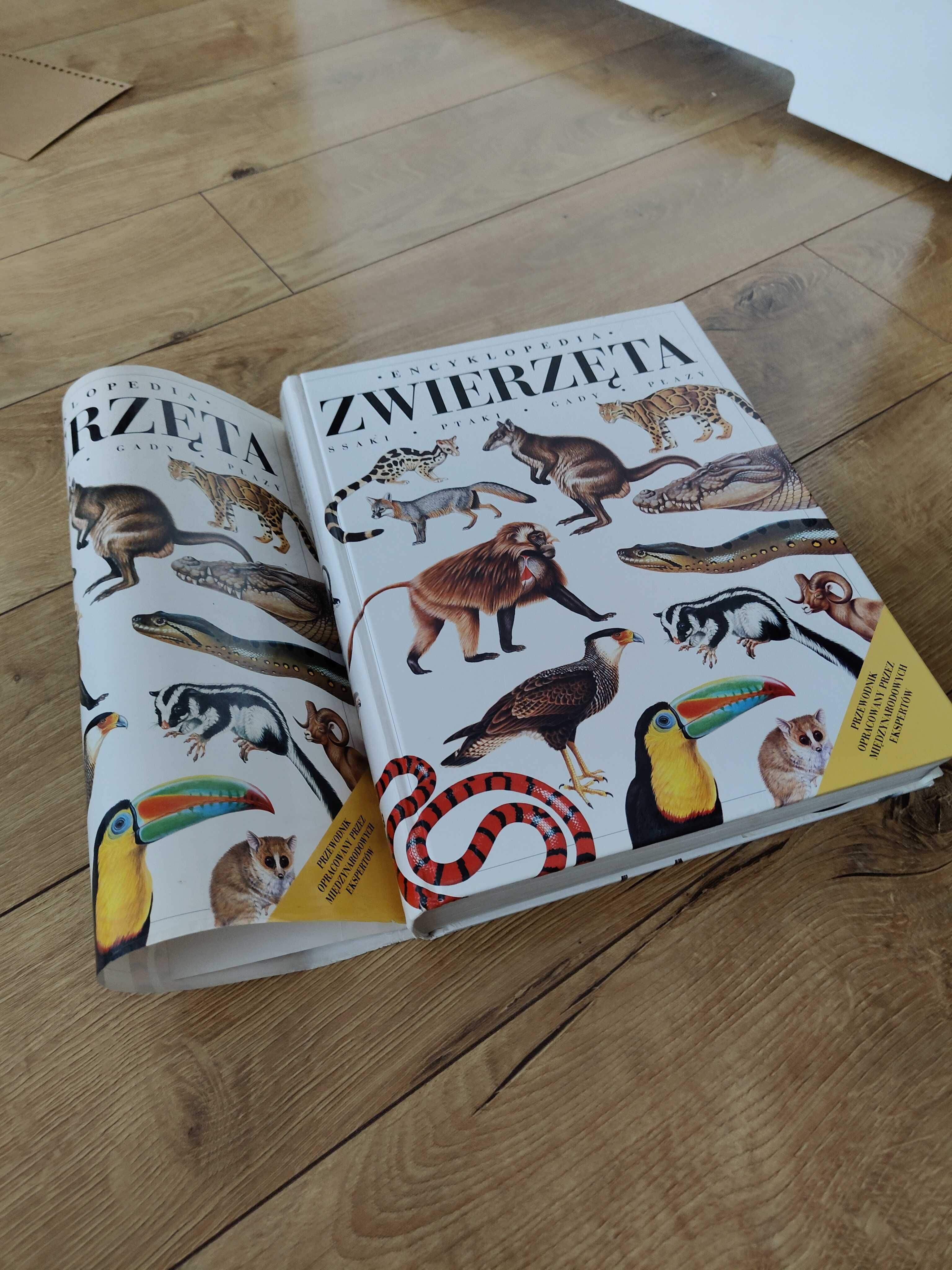 Encyklopedia - Zwierzęta - Ssaki, Ptaki, Gady, Płazy