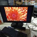 monitor HD LG 21 cali sprawny