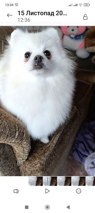 Підрощена дівчинка