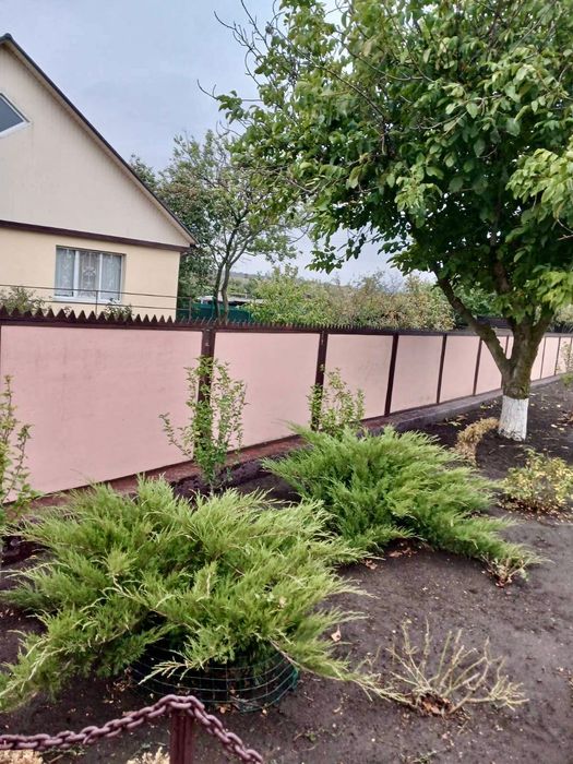 Продам приватний будинок