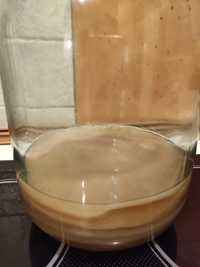 Чайный гриб ( комбуча) на 1-2-3 х литровую банку
