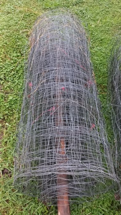 Siatka leśna siatka na ogrodzenie