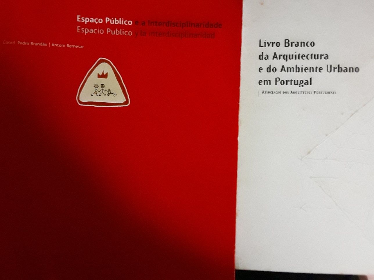 Espaco Publico e a Interdisciplinaridade/Livro Branco da Arquitectura