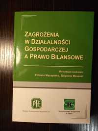 Zagrożenia w działalności gospodarczej a prawo bilansowe - KSIĄŻKA