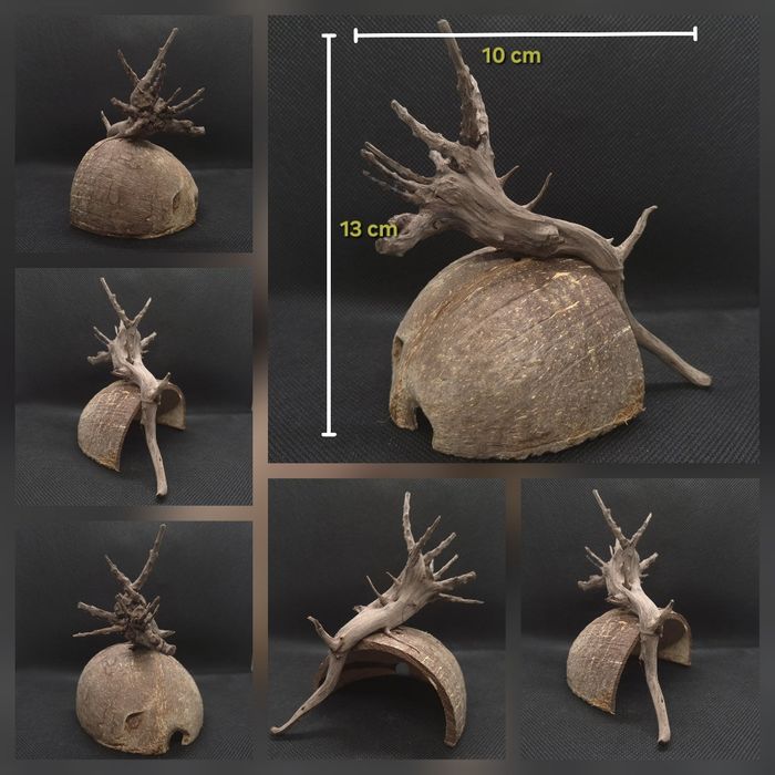 Elementos Naturais para Aquário – Casca de Coco com Tronco e Anúbia