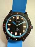 Zegarek Skagen Diver