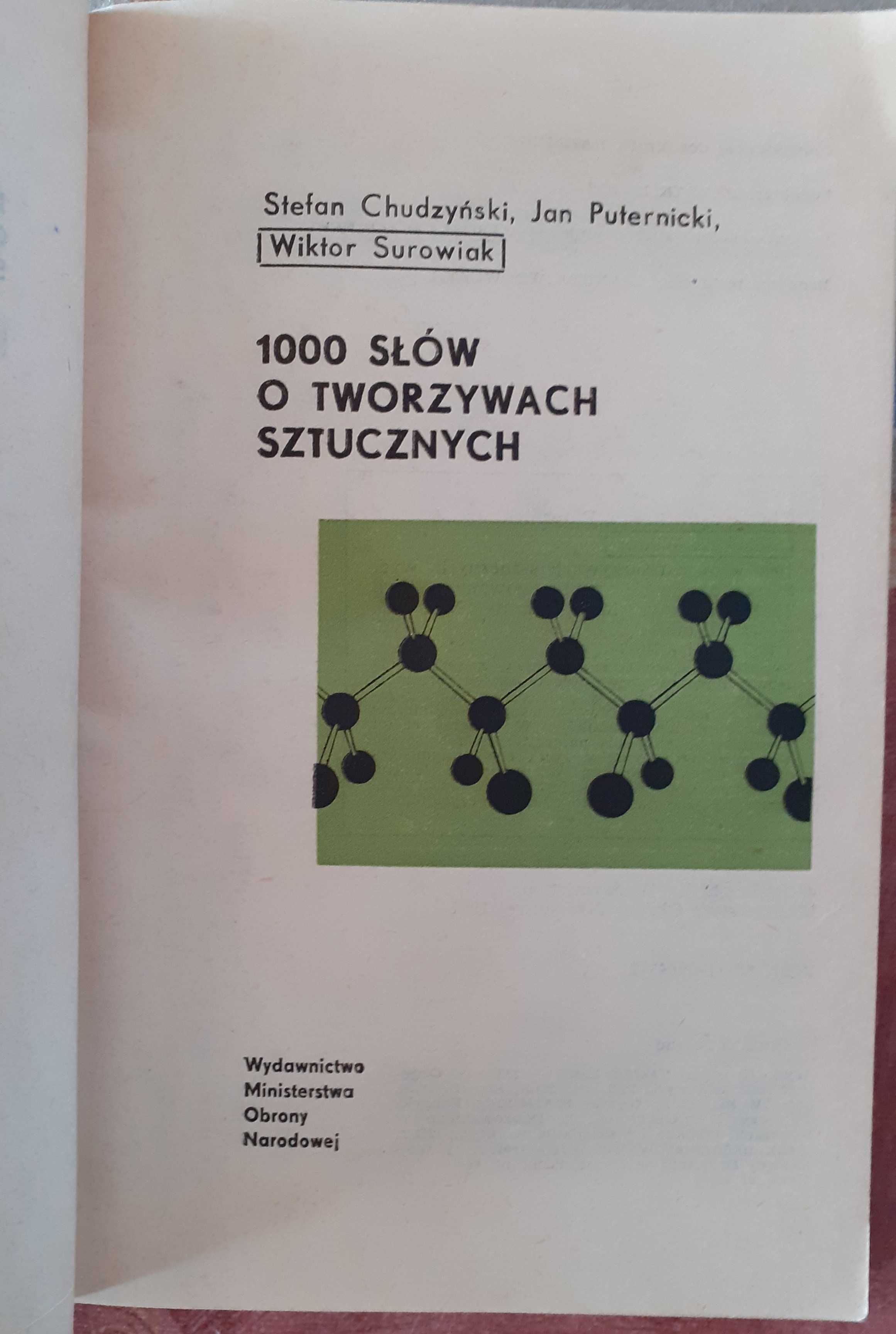 1000 słów o tworzywach sztucznych - Chudzyński, Puternicki, Surowiak