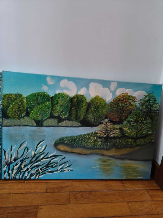 Vários quadros pintados á mão