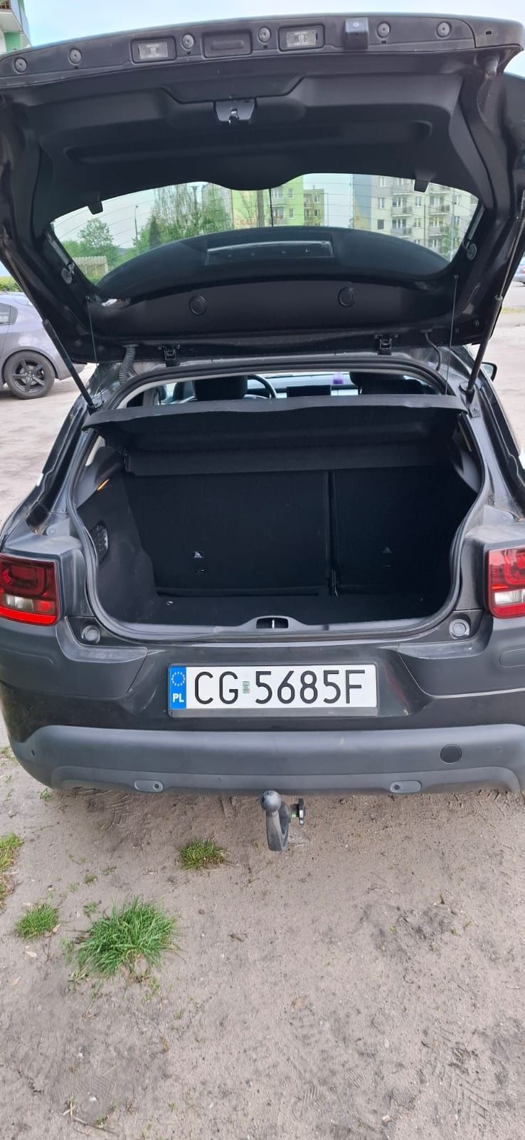 Citroen C4 cactus