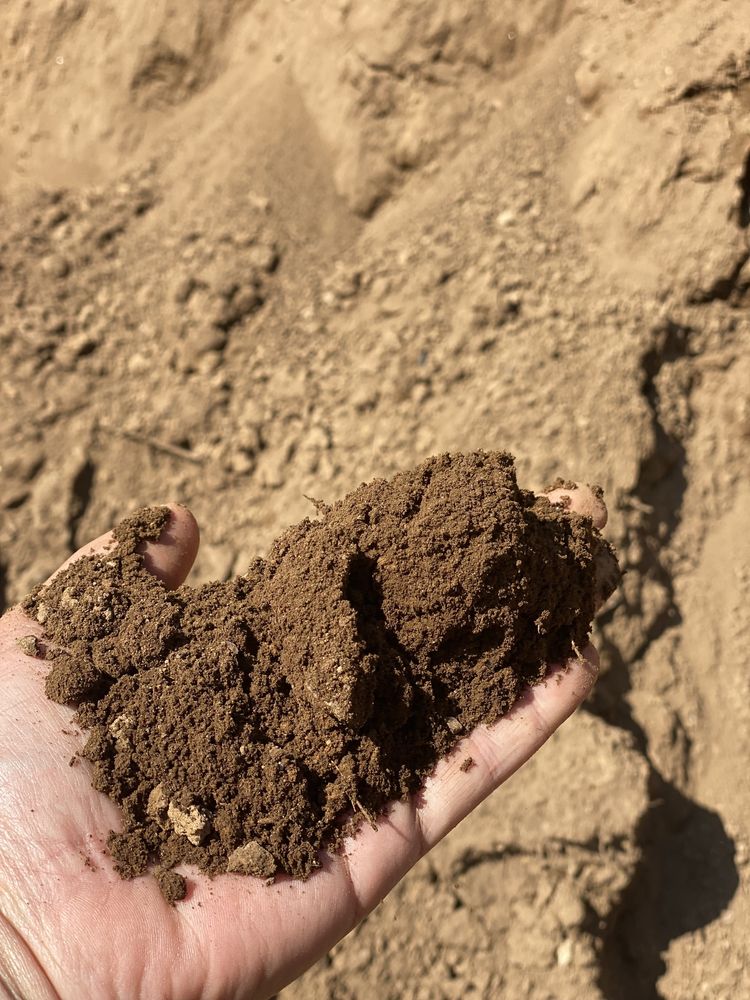 Terra preta vegetal para jardim