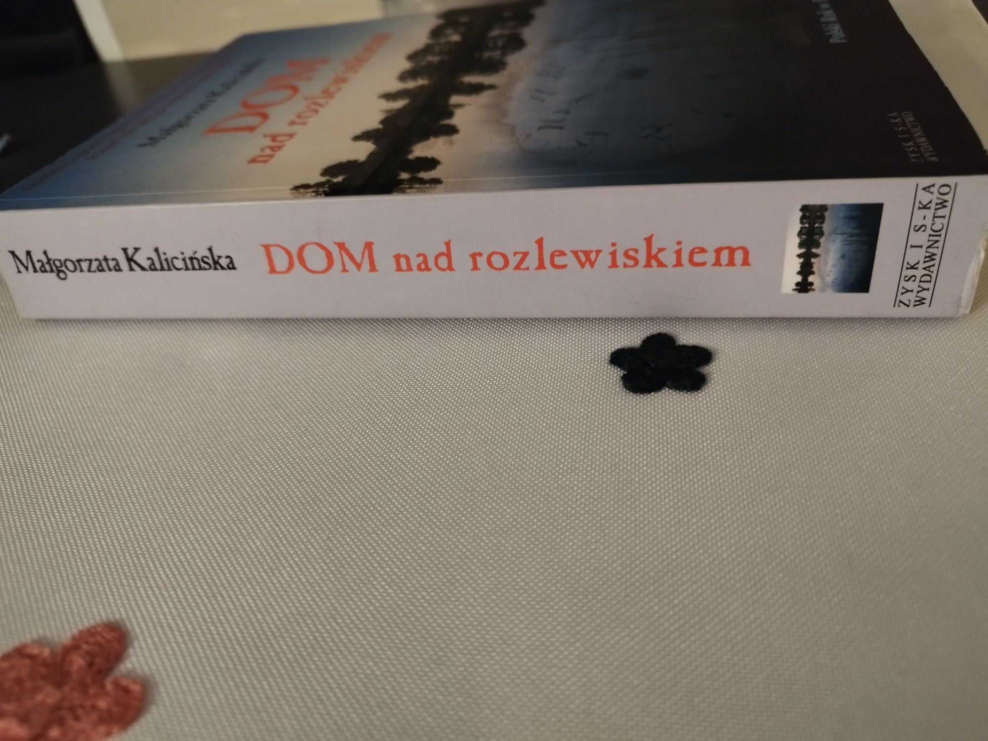 Dom nad rozlewiskiem. Powieść Małgorzata Kalicińska