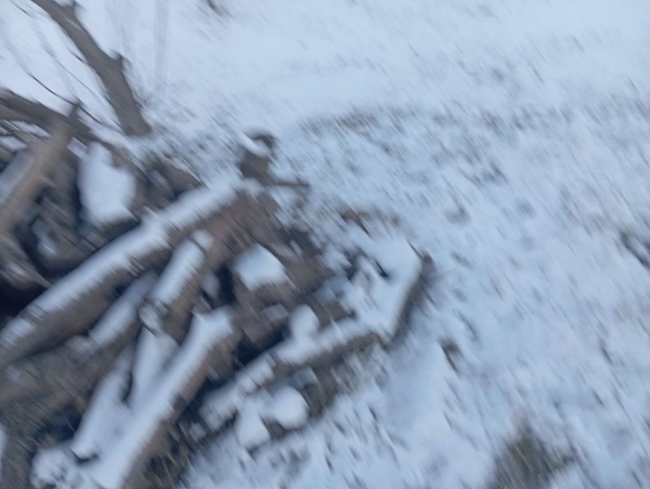 Щипа перебиті гілки горіха