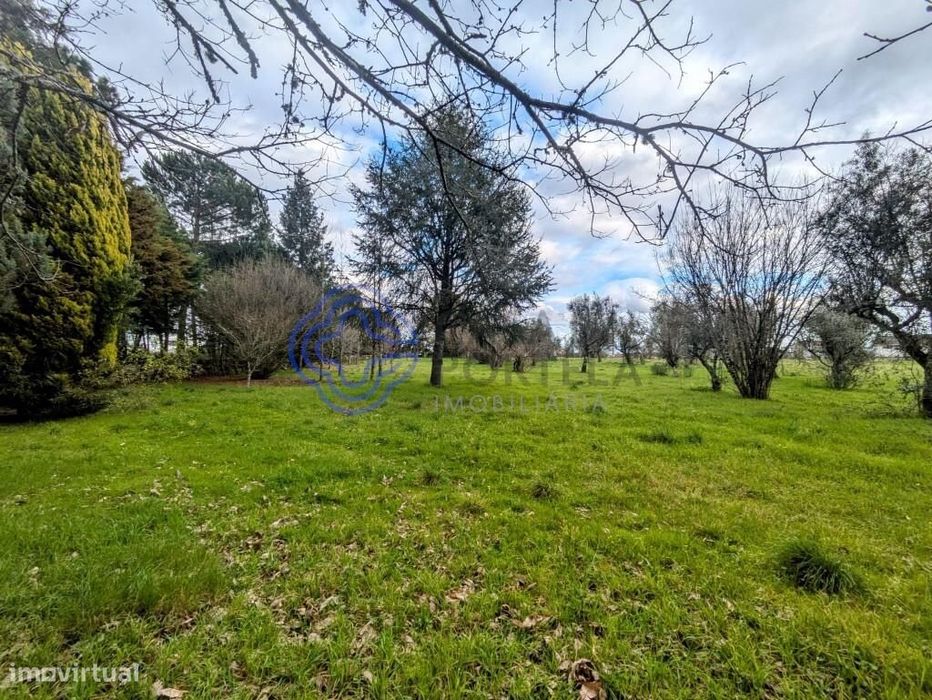 Terreno Urbano em Silgueiros