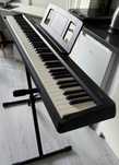 Roland FP-10 (88)