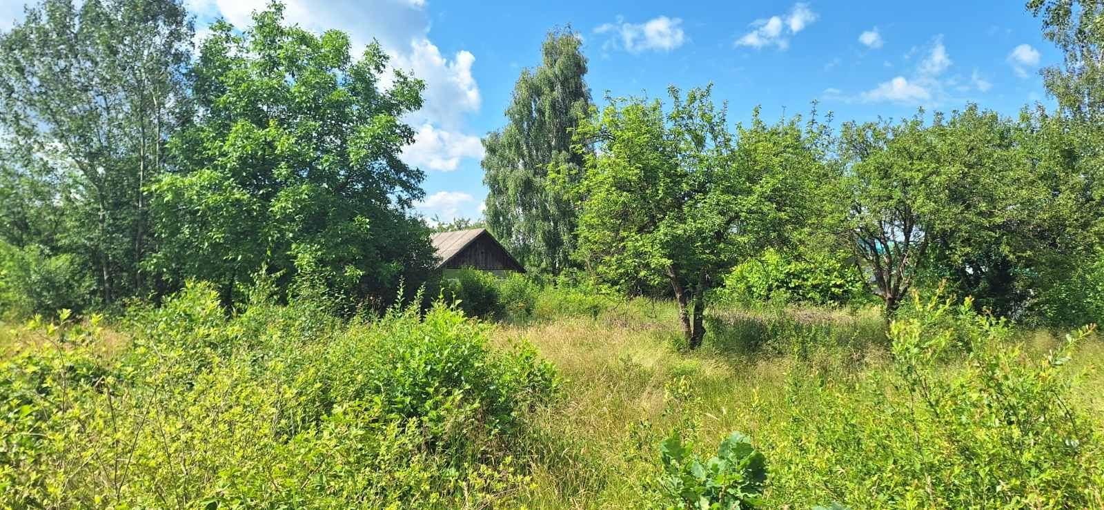 Земельна ділянка біля лісу 25 сот
