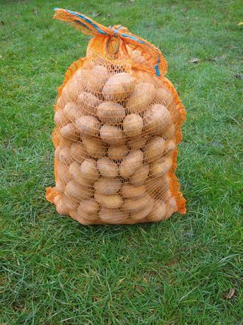 Ziemniaki "Tajfun" 10 kg woreczek
