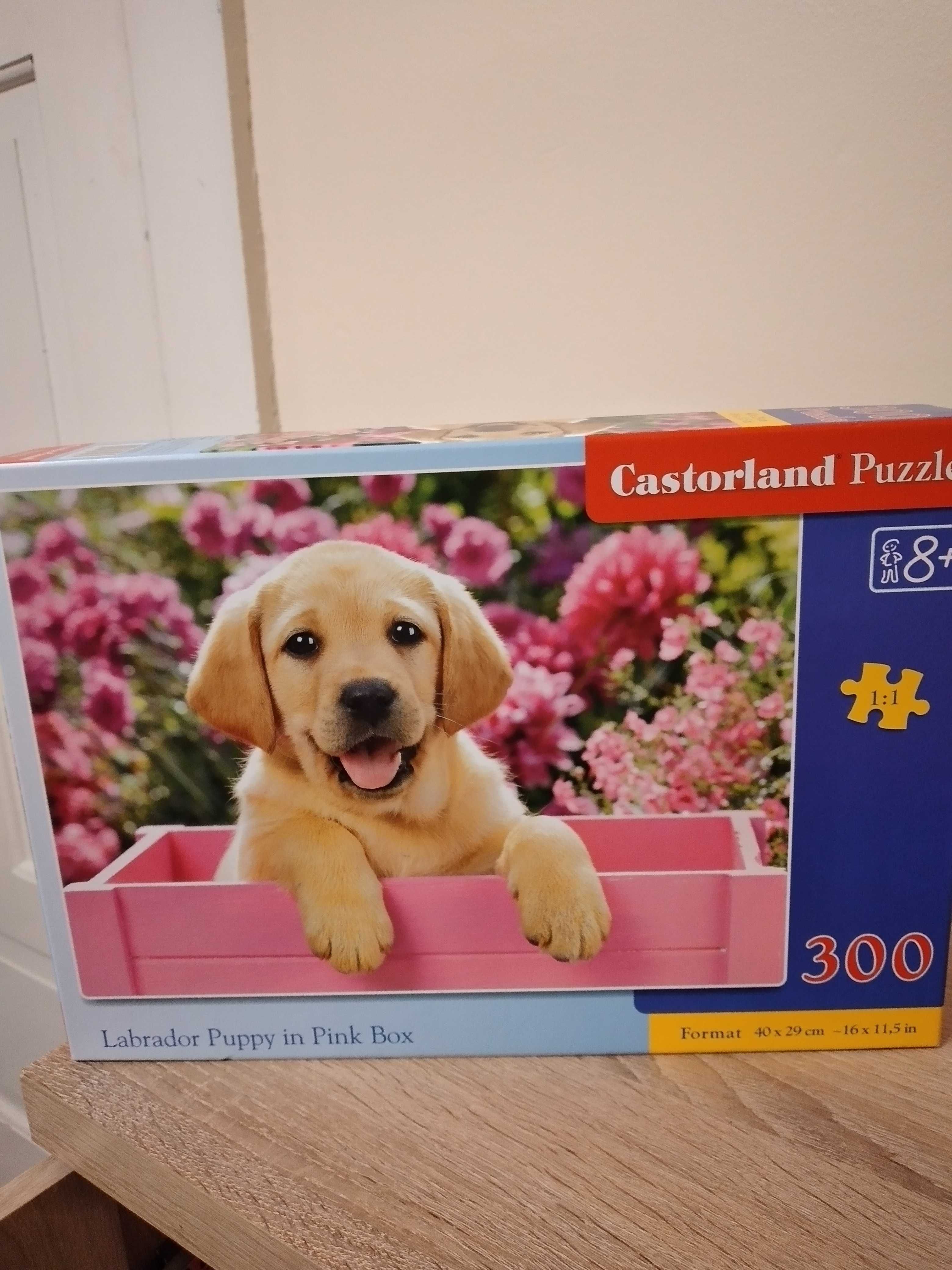 Puzzle 300 sztuk